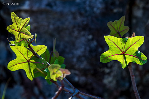 120927-2309.jpg