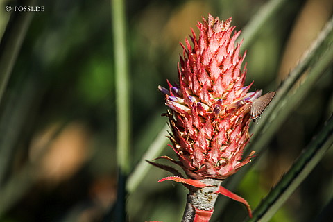 121008-6554.jpg