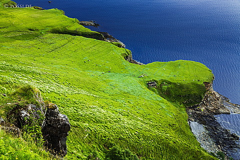 130707-0696.jpg