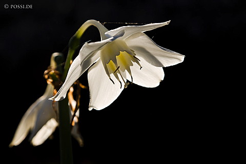 110212-1856.jpg