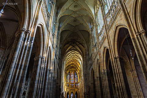231005-112559-7400.jpg