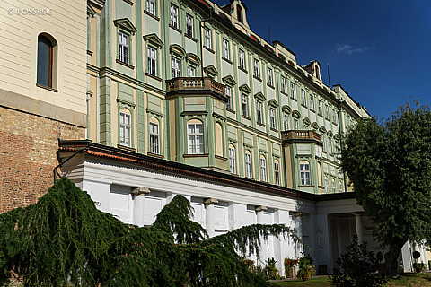 231005-120803-7428.jpg