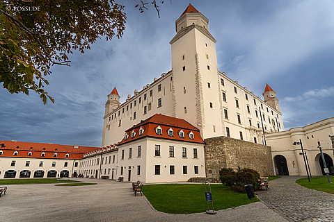 231009-115406-7524.jpg