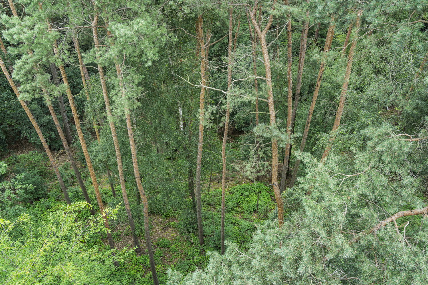 200727-0435.jpg