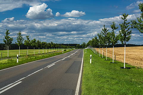 200723-0306.jpg