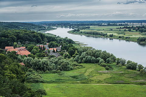 200727-0431.jpg
