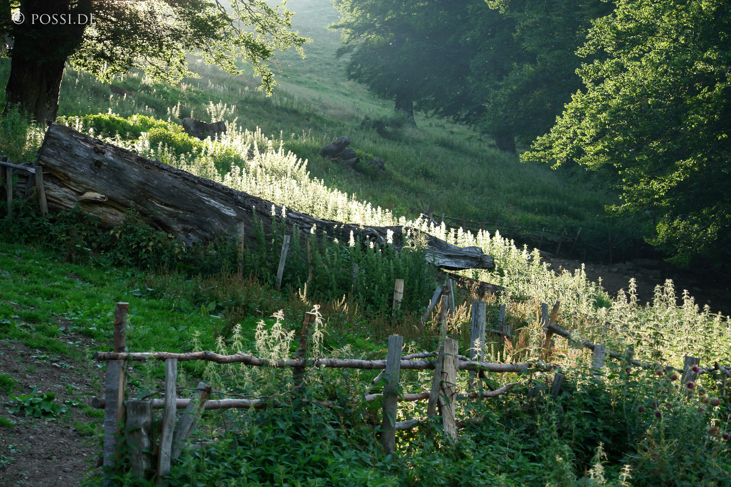 060727-2627.jpg