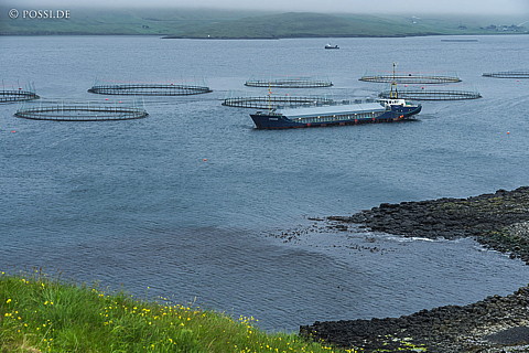 210705-083924-5622.jpg