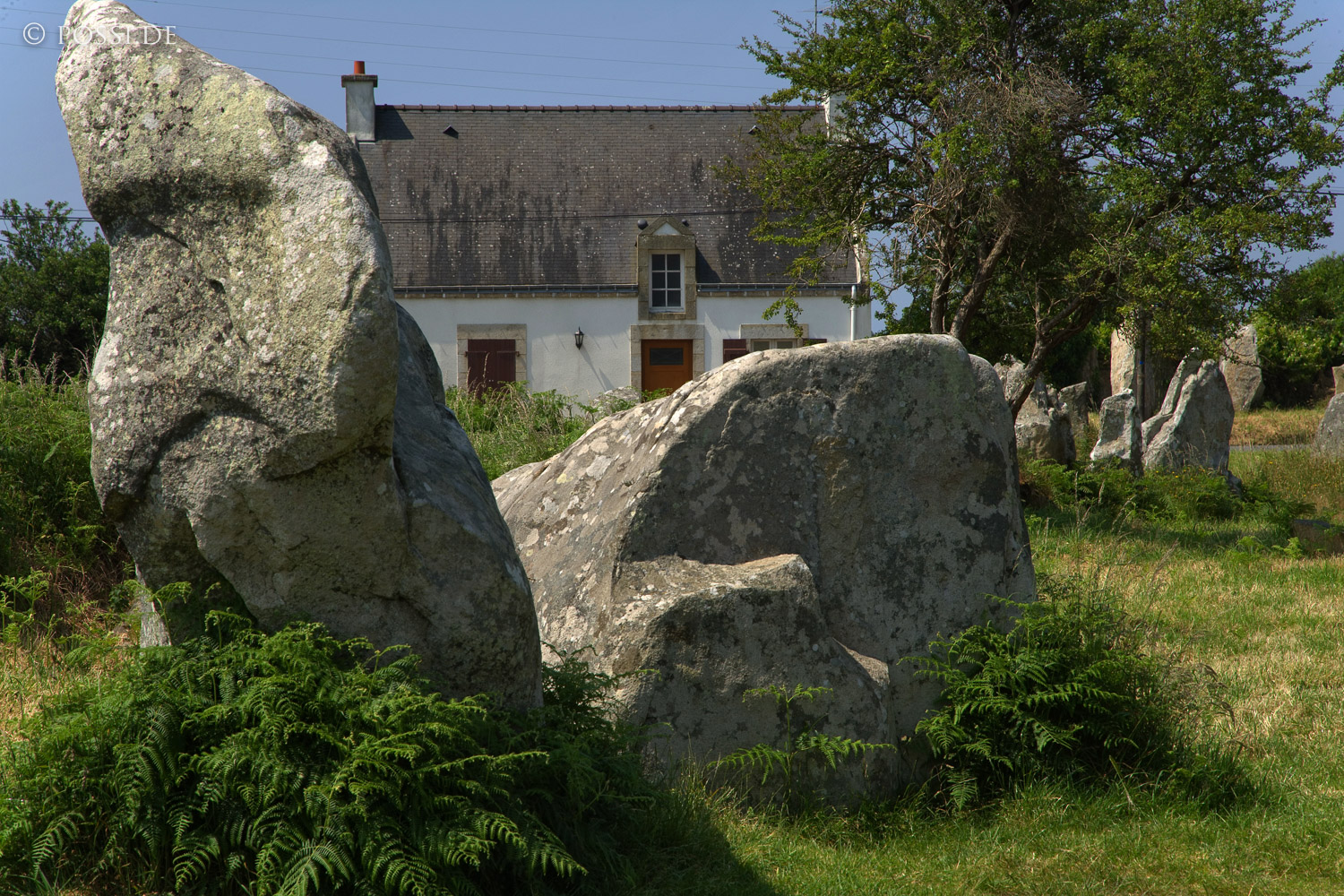 070607-7350.jpg