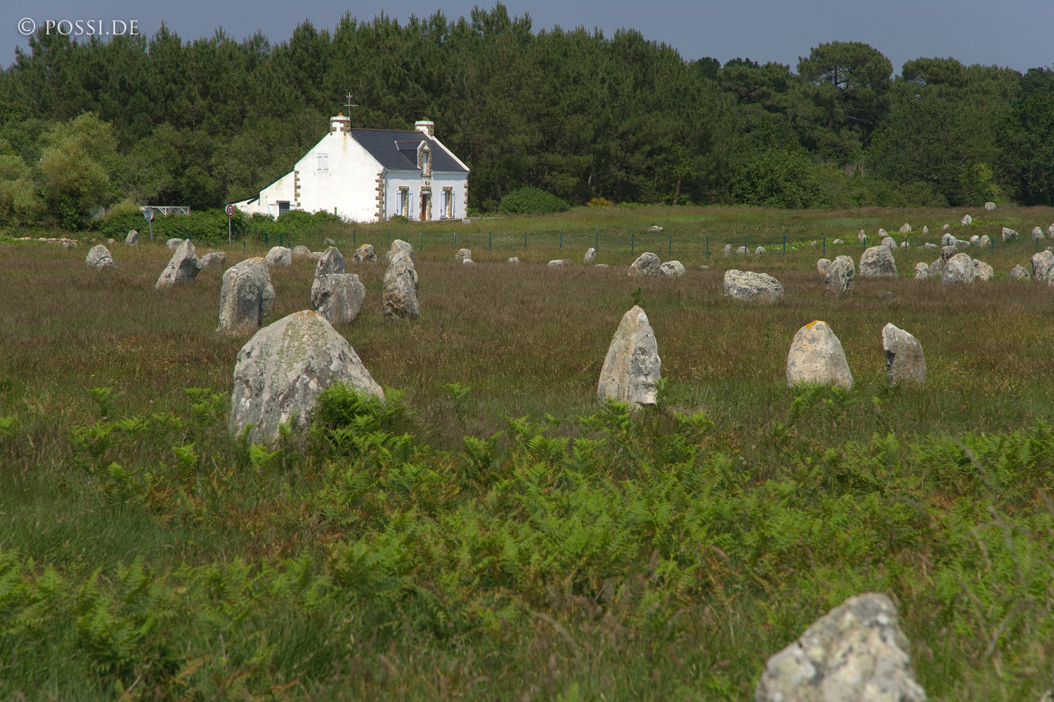 070607-7421.jpg