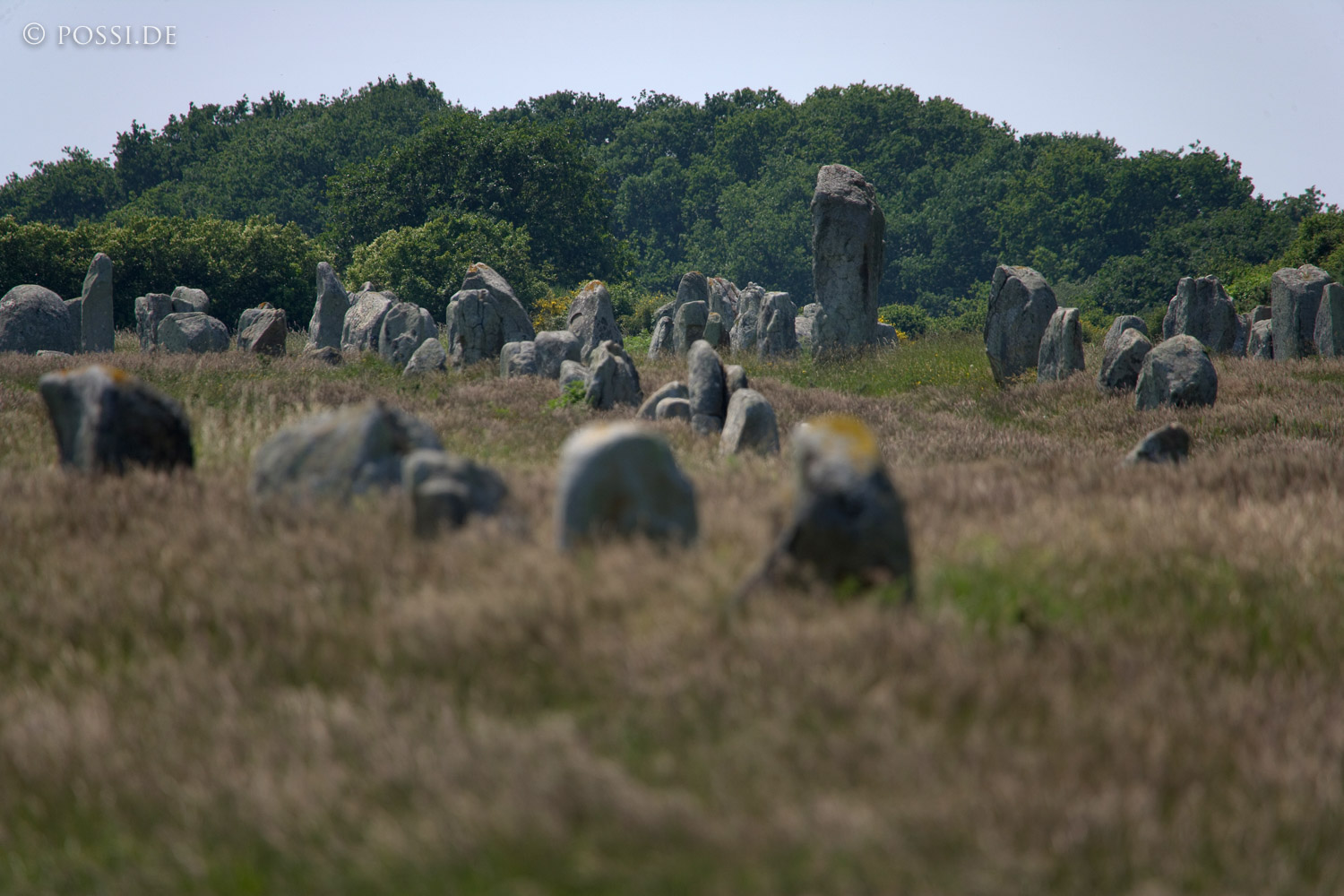 070607-7425.jpg
