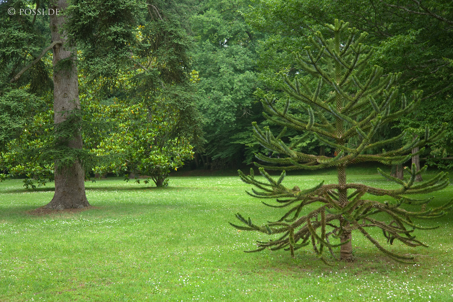 070609-7688.jpg