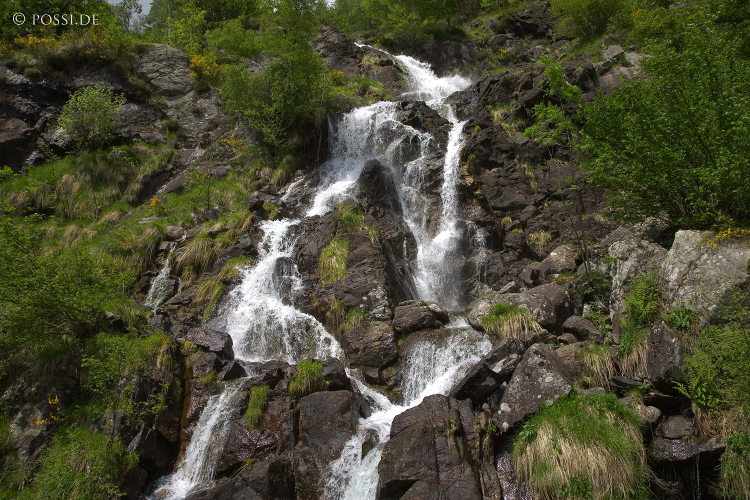 070611-7927.jpg