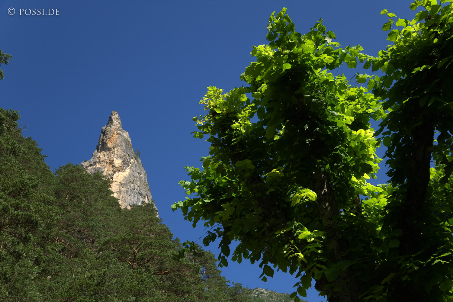 070613-8091.jpg