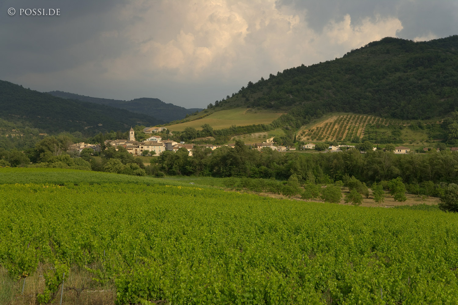 070613-8187.jpg