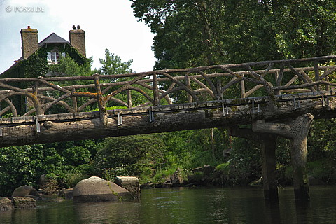 070607-7337.jpg