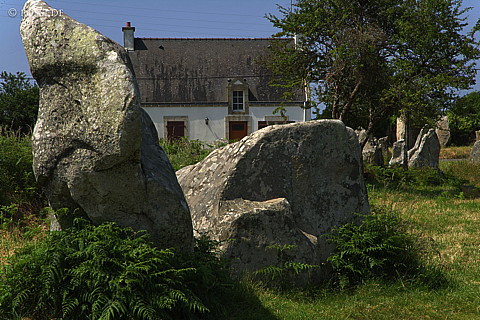 070607-7350.jpg