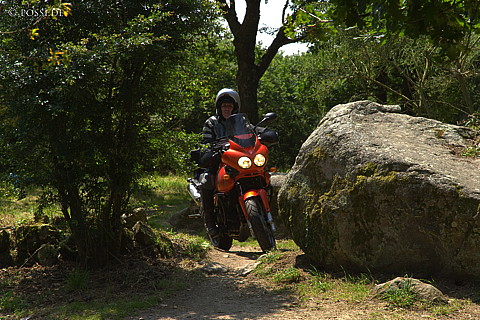 070607-7374.jpg