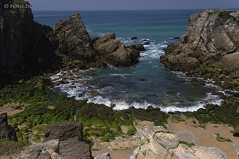 070607-7385.jpg