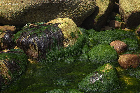 070607-7398.jpg