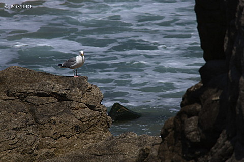 070607-7400.jpg