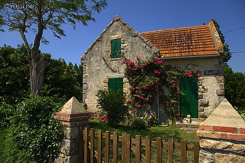 070607-7419.jpg