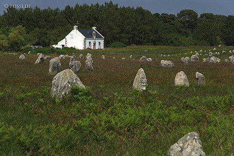 070607-7421.jpg