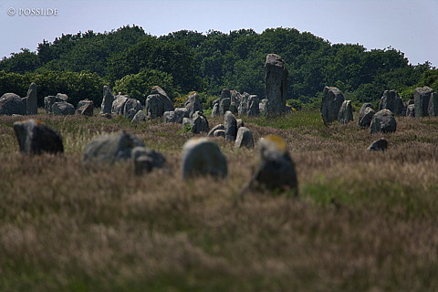 070607-7425.jpg