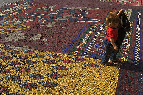 070607-7430.jpg