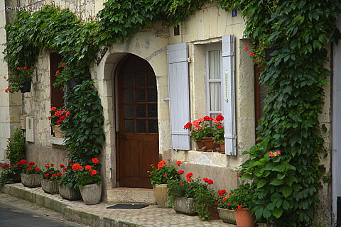 070608-7479.jpg