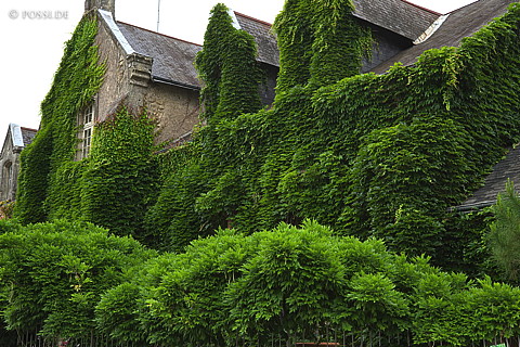 070608-7505.jpg