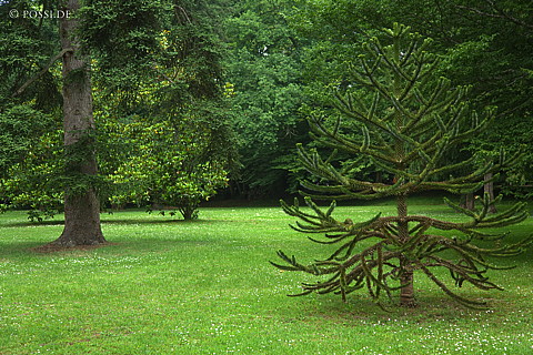 070609-7688.jpg