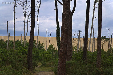 070610-7733.jpg