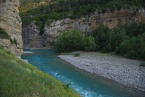 070610-7784.jpg
