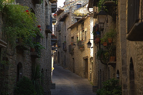 070611-7845.jpg