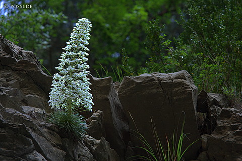 070611-7881.jpg
