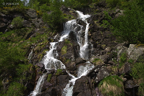 070611-7927.jpg