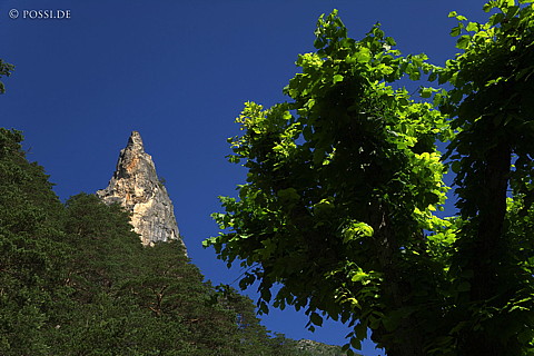 070613-8091.jpg