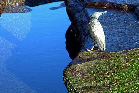 040221-019.jpg