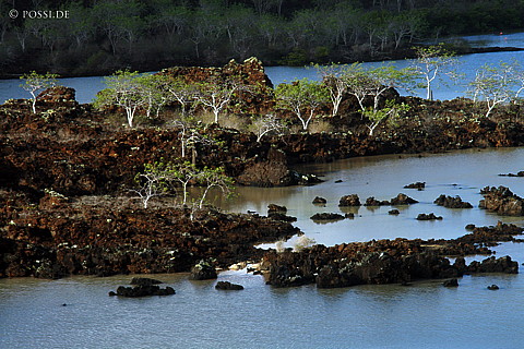 040224-009.jpg