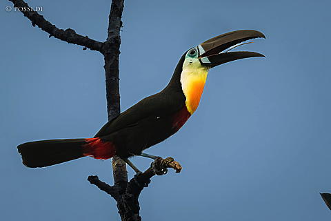220917-3969.jpg