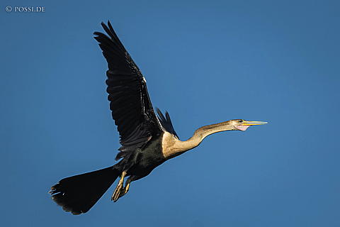 220919-4589.jpg