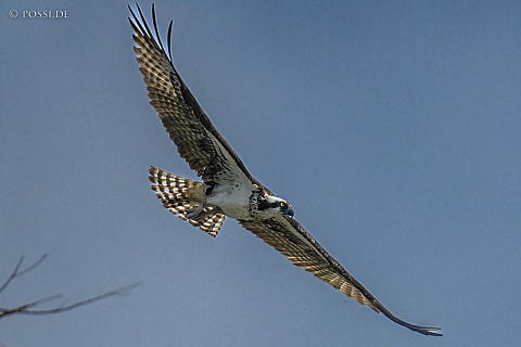 220919-5338.jpg