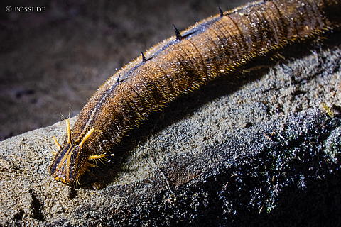220920-7118.jpg