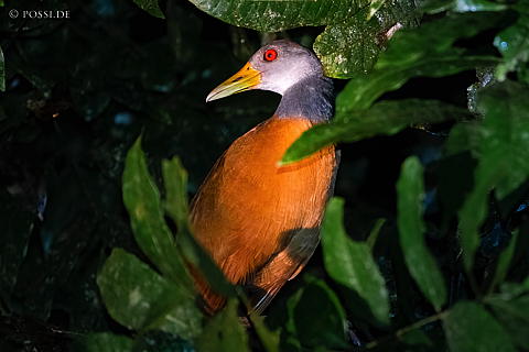 220920-7574.jpg