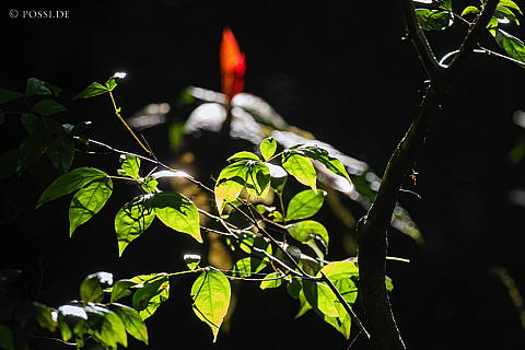220921-8471.jpg