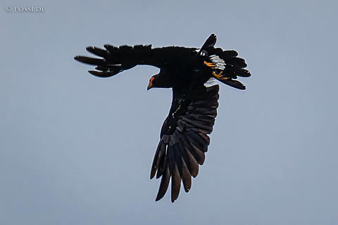 220922-8963.jpg