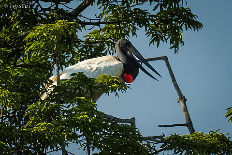220922-9087.jpg
