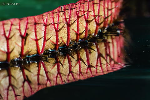220922-9332.jpg