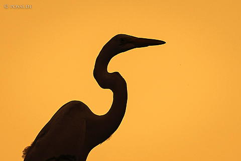220922-9604.jpg